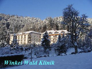 winkel_wald