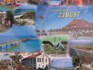 z9
